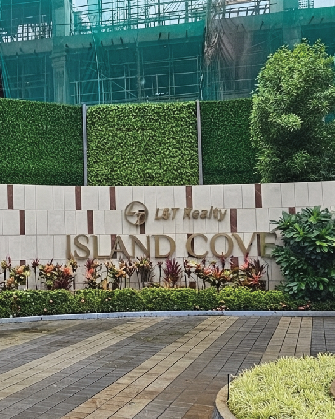 Island Cove